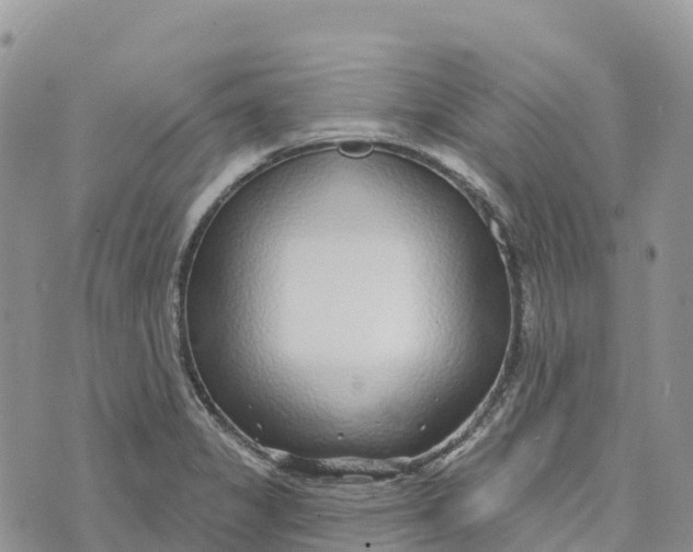 X0000072941325200608111551