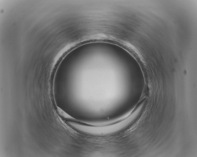 X0000072941326200608111551