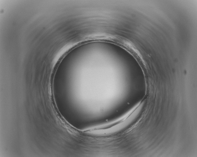 X0000072941328200608111551