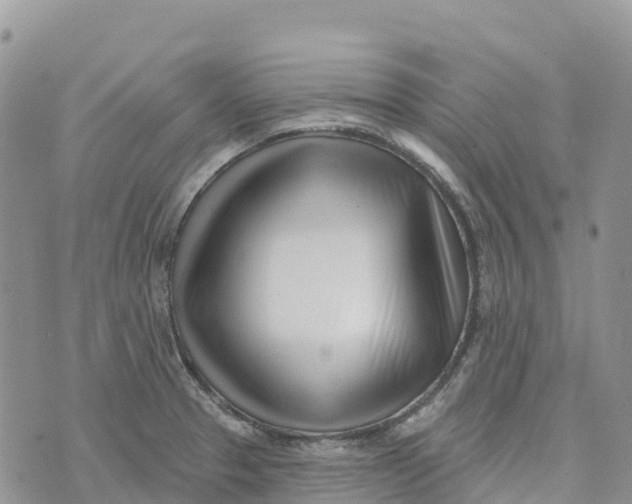 X0000072941329200608111551