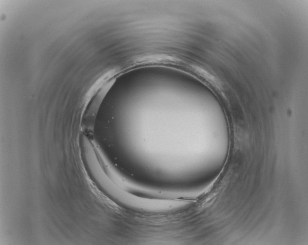 X0000072941330200608111551