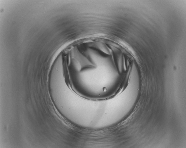 X0000072941332200608111551