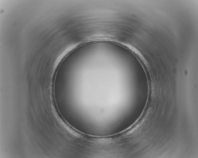 X0000072941333200608111551