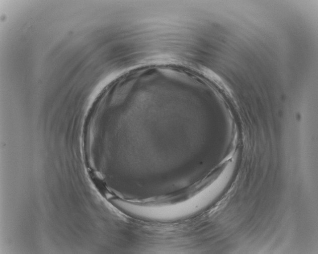 X0000072941334200608111551