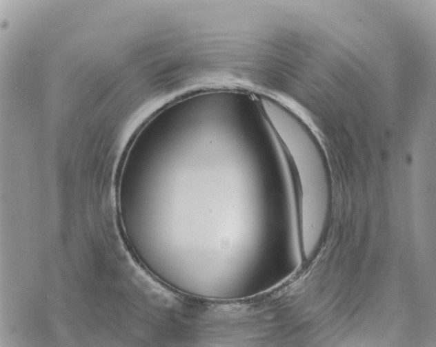 X0000072941335200608111551