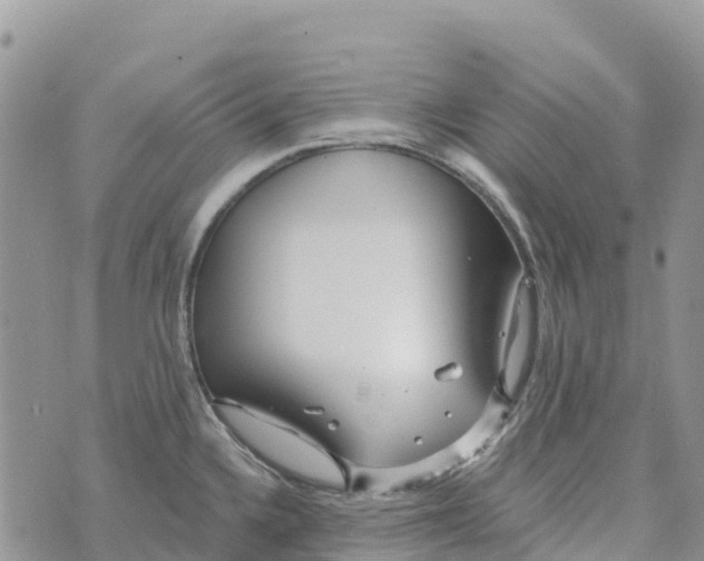 X0000072941336200608111551