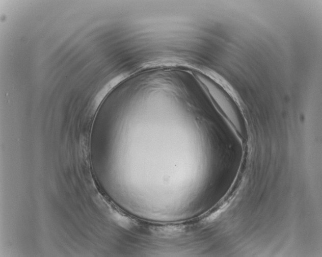 X0000072941337200608111551