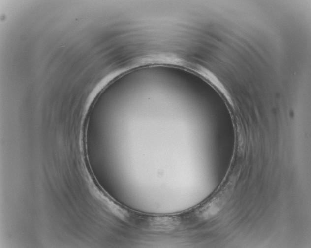 X0000072941339200608111551