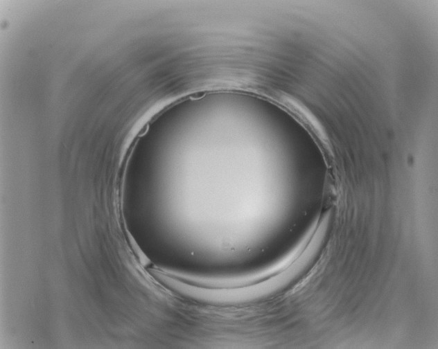 X0000072941340200608111551