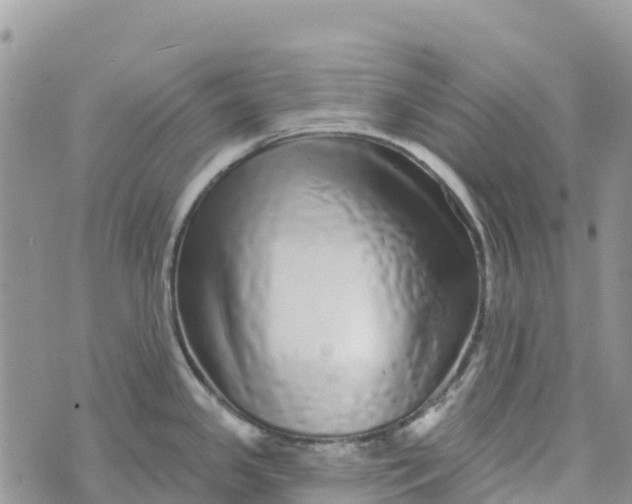 X0000072941341200608111551