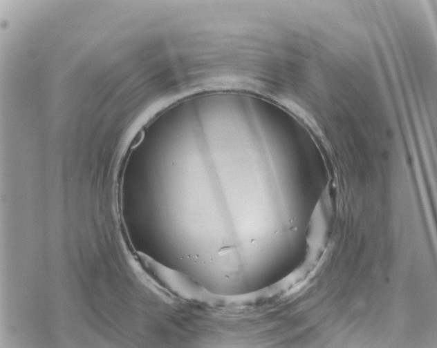 X0000072941342200608111551