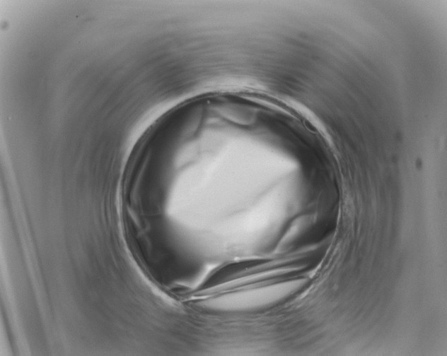 X0000072941343200608111551