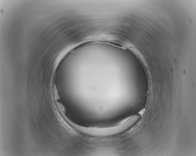 X0000072941344200608111551