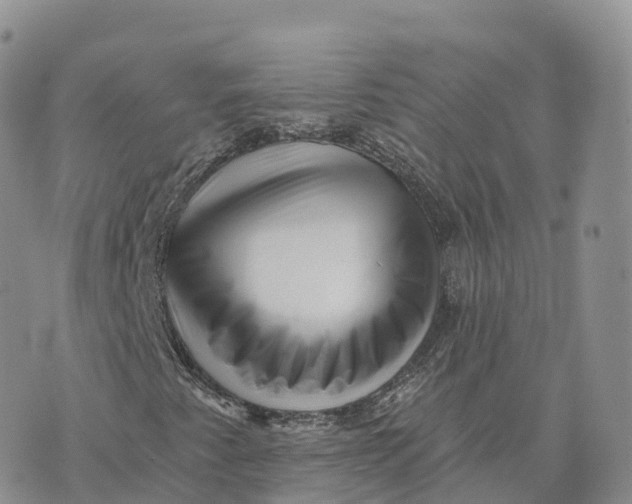 X0000072941345200608111550