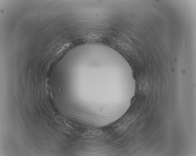 X0000072941346200608111550