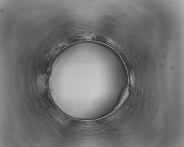 X0000072941347200608111550