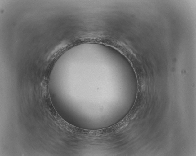 X0000072941350200608111550