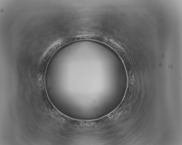 X0000072941351200608111550