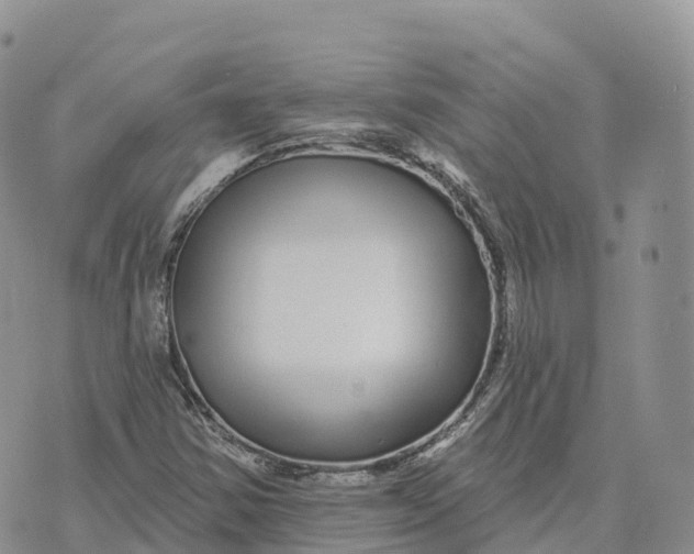 X0000072941354200608111550