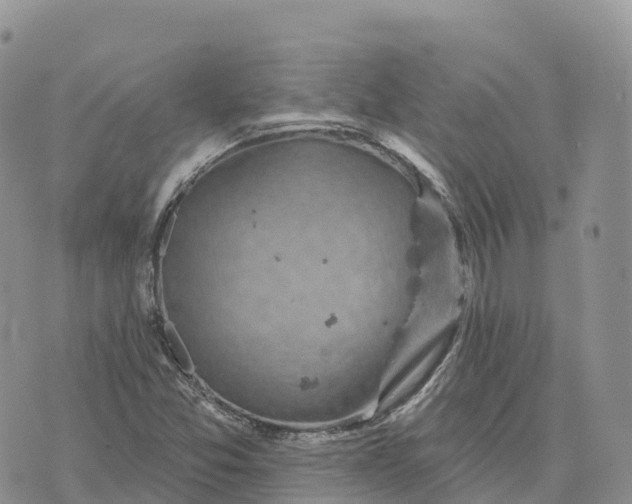 X0000072941357200608111550