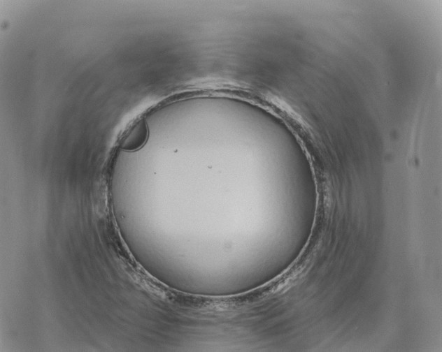 X0000072941358200608111550