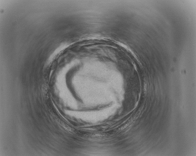 X0000072941359200608111550