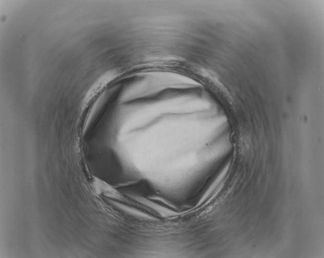 X0000072941362200608111550