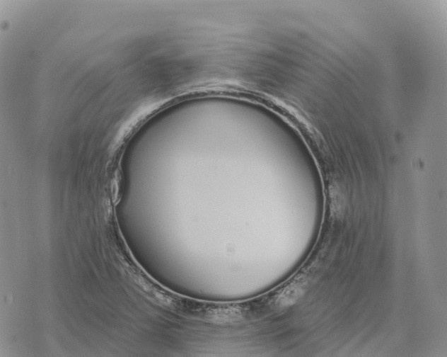 X0000072941363200608111550