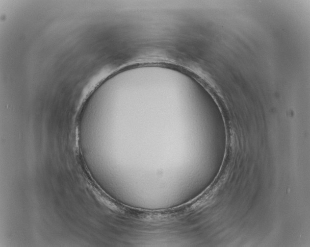 X0000072941366200608111550