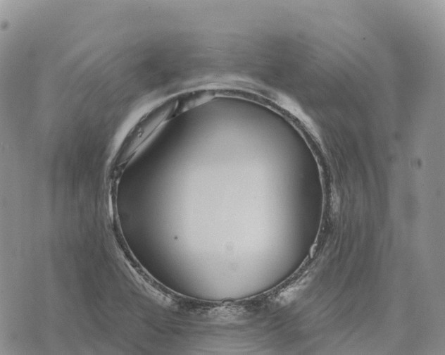 X0000072941368200608111550