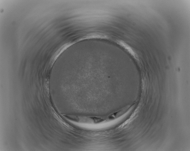 X0000072941369200608111550