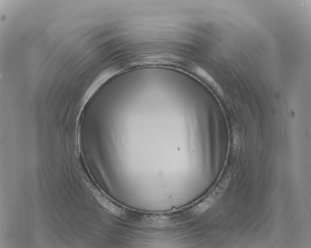 X0000072941370200608111550