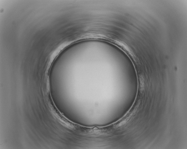 X0000072941371200608111550