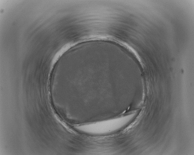 X0000072941373200608111550