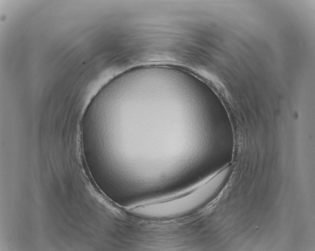 X0000072941374200608111550