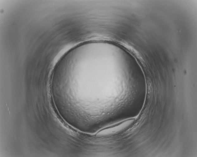 X0000072941375200608111550