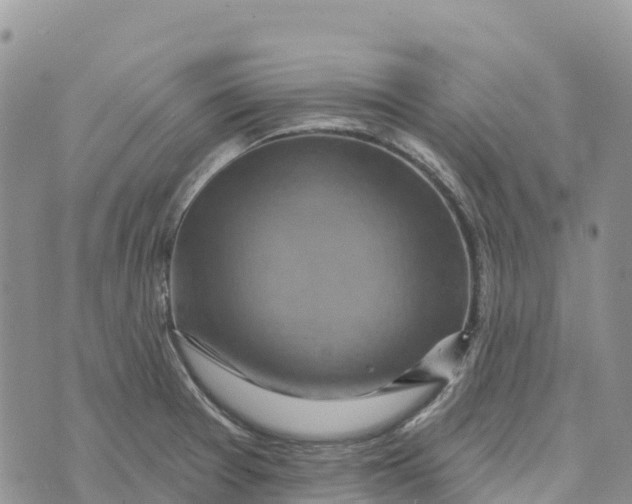 X0000072941377200608111550