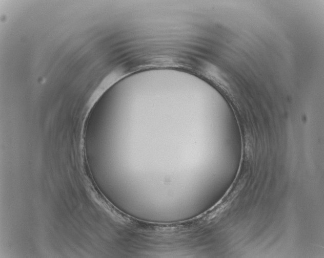 X0000072941378200608111550