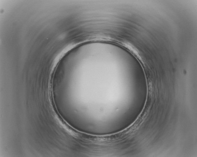 X0000072941379200608111549