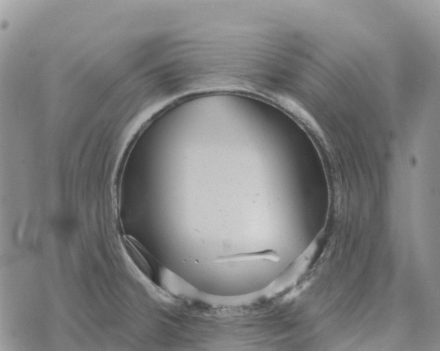 X0000072941380200608111549