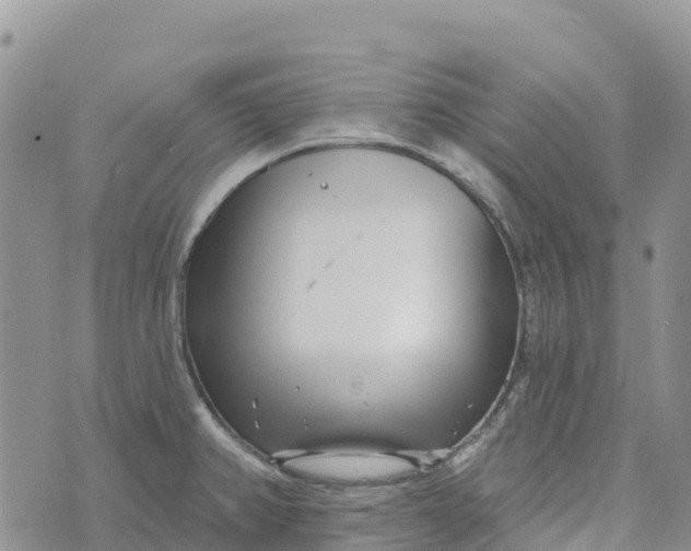 X0000072941382200608111549