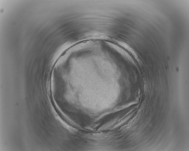 X0000072941383200608111549