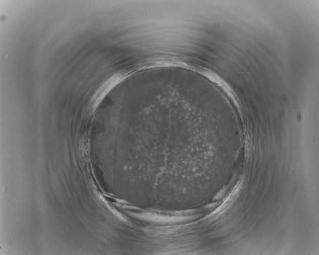 X0000072941385200608111549