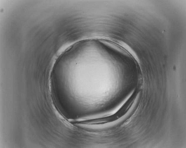 X0000072941388200608111549