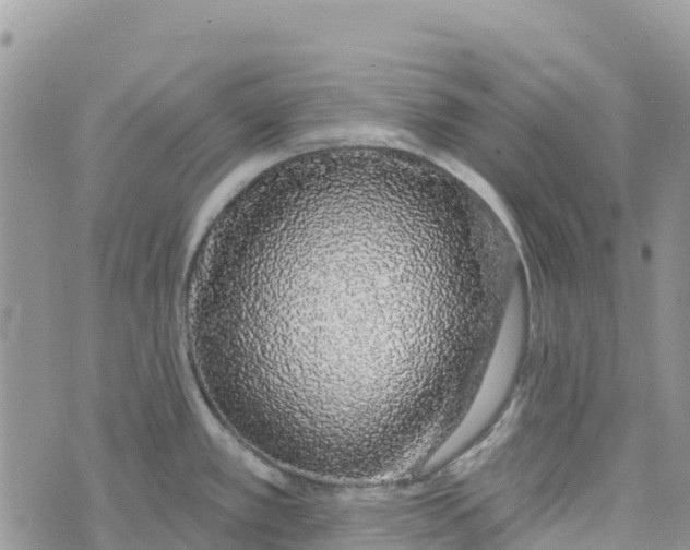 X0000072941389200608111549