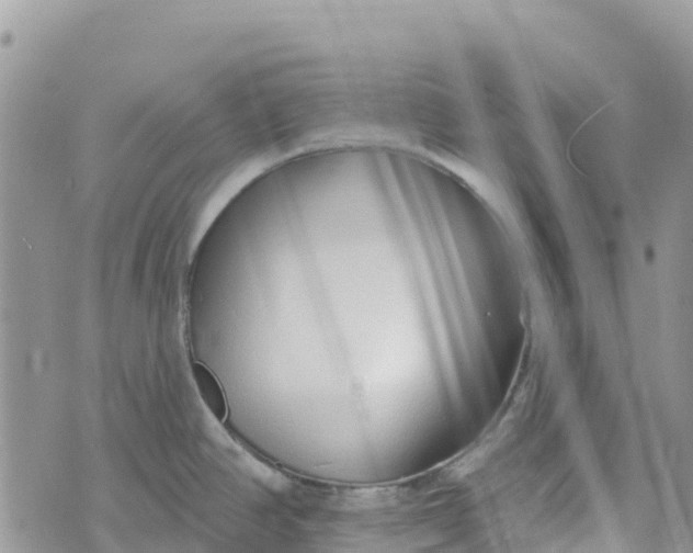 X0000072941390200608111549