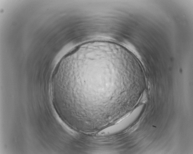 X0000072941391200608111549