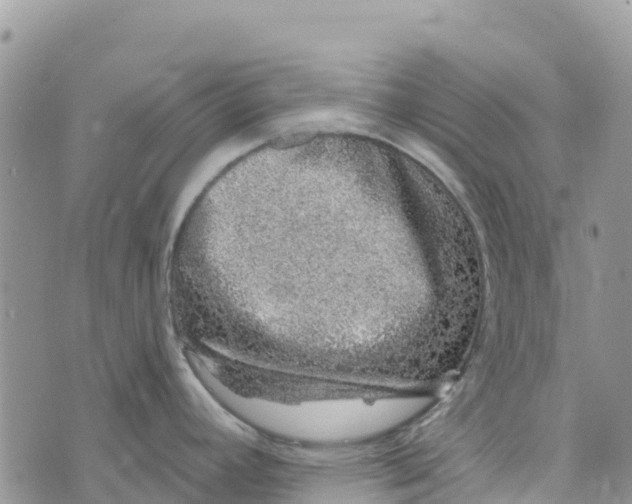 X0000072941392200608111549