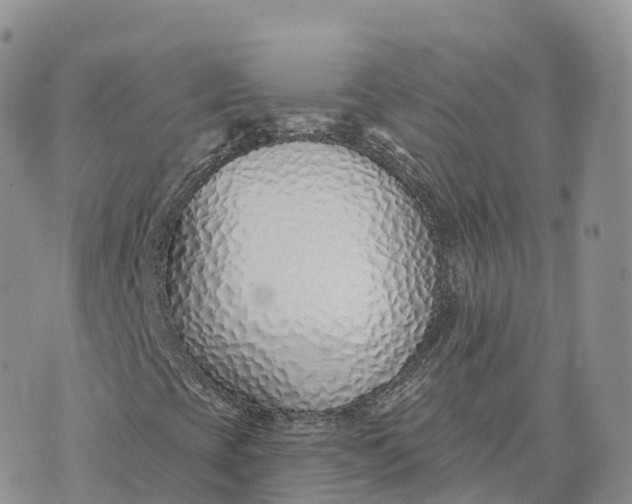 X0000072941393200608111548