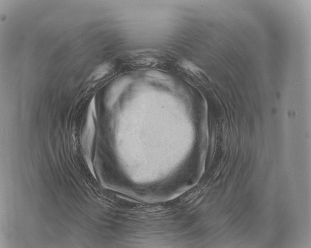 X0000072941394200608111549